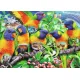 Ravensburger puzzel 1000 stukjes Land van de Lorikeets